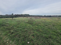 Istra, okolica Barbana, građevinsko zemljište 780 m2