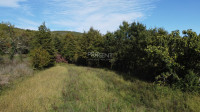 Istra, okolica Buzeta – zemljište 1.673 m² s građevinskim dijelom, u z