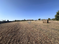 Istra, okolica Marčane, poljoprivredno zemljište