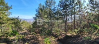 Istra, okolica Pazina, zemljište, 214.230m2