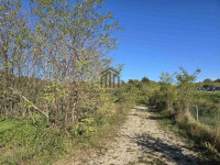 Istra,  veliko zemljište  12 000 m2 uz Autocestu kod Kanfanara