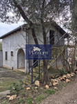Istra, Pavićini kuća u blizini mora