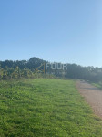 Istra, Pazin - okolica, poljoprivredno zemljište, 45.000m2