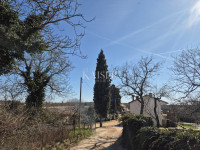 Istra, Pazin - poljoprivredno zemljište 13.513m2