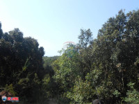 ISTRA, PERUŠKI, GRAĐEVINSKO ZEMLJIŠTE 1069 M2