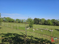 Istra, Peruški, poljoprivredno zemljište 1043m2 #prodaja