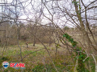 ISTRA, PERUŠKI, POLJOPRIVREDNO ZEMLJIŠTE 3,5 KM OD MORA