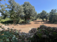 Istra,Pinezići - građevinsko zemljište