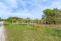 Istra – poljoprivredno zemljište 16.978,00 m², voda na terenu