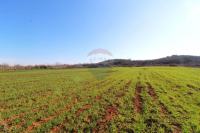 Istra, poljoprivredno zemljište 5 km od Poreča