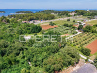 Istra, Poreč-Investicijsko zemljište za 8 stambenih zgrada – izvrsna l
