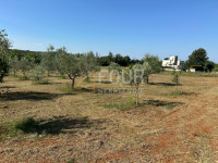 Istra, Poreč, zemljište 5.716 m2