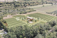 Istra, predivno zemljište 26.700 m2 pogodno za vinograd sa vinskim pod