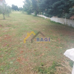 Istra Prodaja Loborika 2 građevinska zemljišta 2050m2