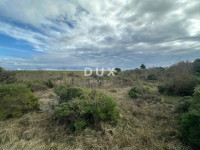 ISTRA, PULA - Poljoprivredno zemljište, 9600 m2!