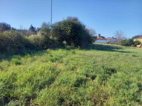 istra, Pula, poljoprivredno zemljište na rubu urbanizacije