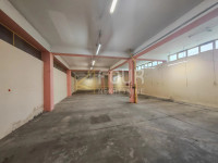 Istra, Pula, poslovni prostor, hala - u naravi 320m2