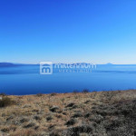 Istra, Rabac, Mali Kosi, poljoprivredno zemljište od 6.735m2