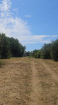 Istra, Rakalj, građevinsko zemljište, 3382, 1500m od mora