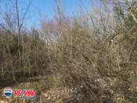 ISTRA, RAKALJ, PRILIKA!!!!  ZEMLJIŠTE ZA SEOSKI TURIZAM