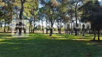 Istra, Rovinj, 12.058m2 atraktivno zemljište idealno za kamp ili glamp