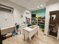 Istra, Rovinj, stan, poslovni prostor, 51,31 m2, najam