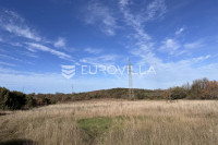 Istra, Rovinjsko selo, poljoprivredno zemljište 13856m2