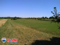 ISTRA, ŠAJINI, VELIKO POLJOPRIVREDNO ZEMLJIŠTE