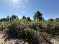 Istra, Šišan, poljoprivredno zemljište, 500m2