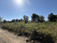 Istra, Šišan, poljoprivredno zemljište, 1000m2