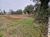 Istra, Smoljanci poljoprivredno zemljište na rubu urbanizacije