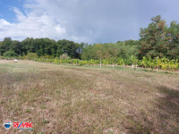 ISTRA, SNAŠIĆI, POLJOPRIVREDNO ZEMLJIŠTE