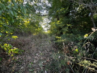 ISTRA, ŠUMBER - Poljoprivredno zemljište