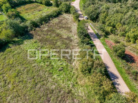 Istra, Sveti Lovreč okolica- građevinsko zemljište u kombinaciji s pol