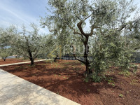 Istra, Sveti Lovreč - okolica, kuća 346m2, balkon, terasa