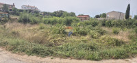 Istra, Sveti Lovreč-okolica, građevinsko zemljište pogled more