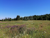 Istra, Sveti Lovreč, poljoprivredno zemljište 1.994m2