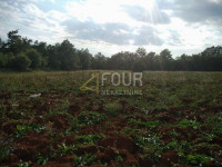 Istra, Svetvinčenat, poljoprivredno zemljište 2.990m2