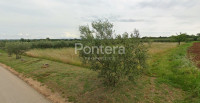 ISTRA, POREČ - građevinsko zemljište 3.496 m²