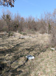 ISTRA,TAR