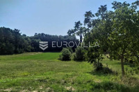 Istra, Tinjan, građevinsko i poljoprivredno zemljište 4557 m²