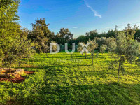 ISTRA, UMAG-Atraktivno poljoprivredno zemljište u blizini Umaga