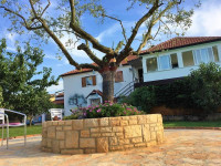 Istra, Umag, obiteljski pansion sa bazenom svega 1,5 km od mora