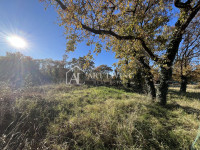 Istra, Umag, okolica - atraktivno poljoprivredno zemljište na odličnoj