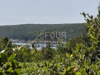 Istra, Valtura, poljoprivredno zemljište 14500m2