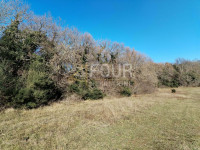 Istra, Valtura, poljoprivredno zemljište 3.376m2