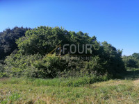 Istra, Valtura, poljoprivredno zemljište 9.985m2
