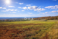 ISTRA, VIŽINADA - Poljoprivredno imanje s potencijalom