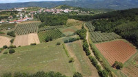 Istra, Vižinada, poljoprivredno zemljište 31 525 m2