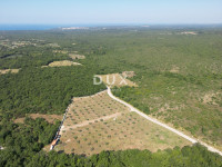 ISTRA, VODNJAN - Autentičan maslinik s dušom